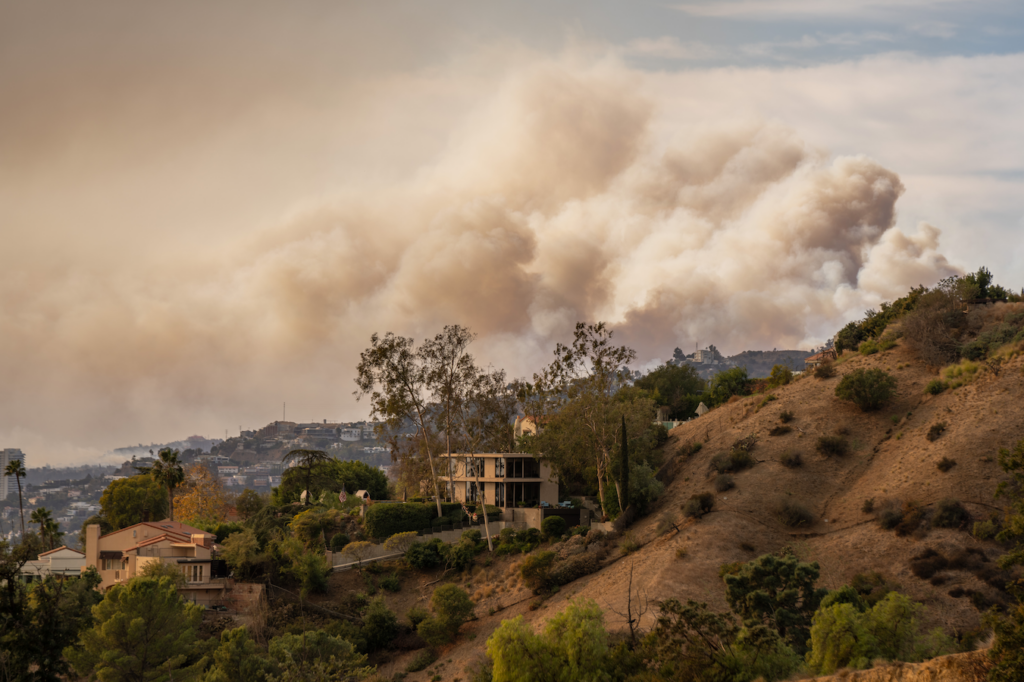 View of Los Angeles wildfire from Griffith Park